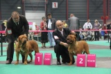 Indy Euro dog show Holland